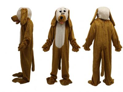 c348-brown-white-dog